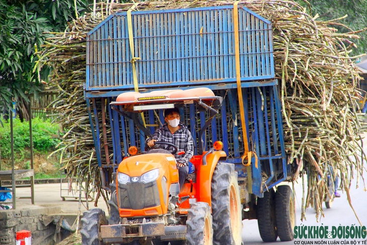 Làng nấu mật mía truyền thống tất bật ngày cận Tết- Ảnh 1.