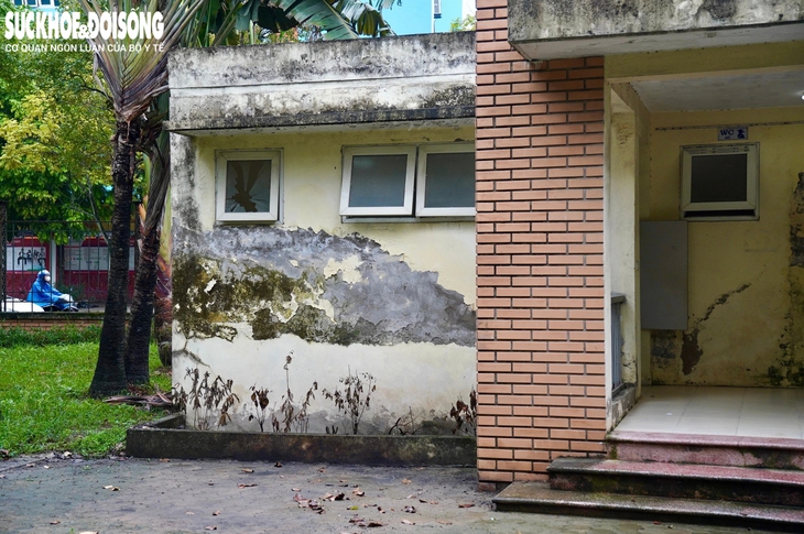Hai công viên chuẩn bị được nâng cấp tại Hà Nội- Ảnh 5.