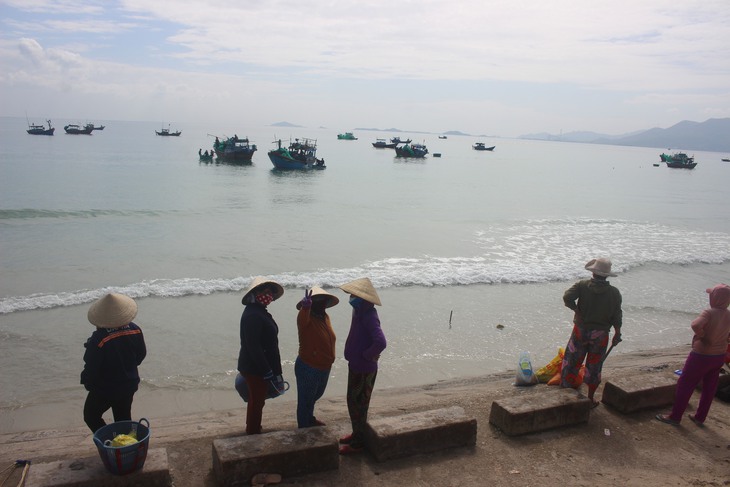 Mùa săn ruốc biển kiếm bộn tiền ăn Tết- Ảnh 2.