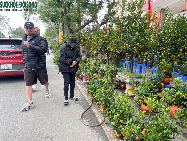 Vỉa hè Hà Nội thành chợ bán đào quất, 'đẩy' người đi bộ xuống đường- Ảnh 6. Vỉa hè Hà Nội thành chợ bán đào quất, 'đẩy' người đi bộ xuống đường- Ảnh 6.