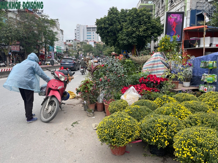 Vỉa hè Hà Nội thành chợ bán đào quất, 'đẩy' người đi bộ xuống đường- Ảnh 9. Vỉa hè Hà Nội thành chợ bán đào quất, 'đẩy' người đi bộ xuống đường- Ảnh 9.