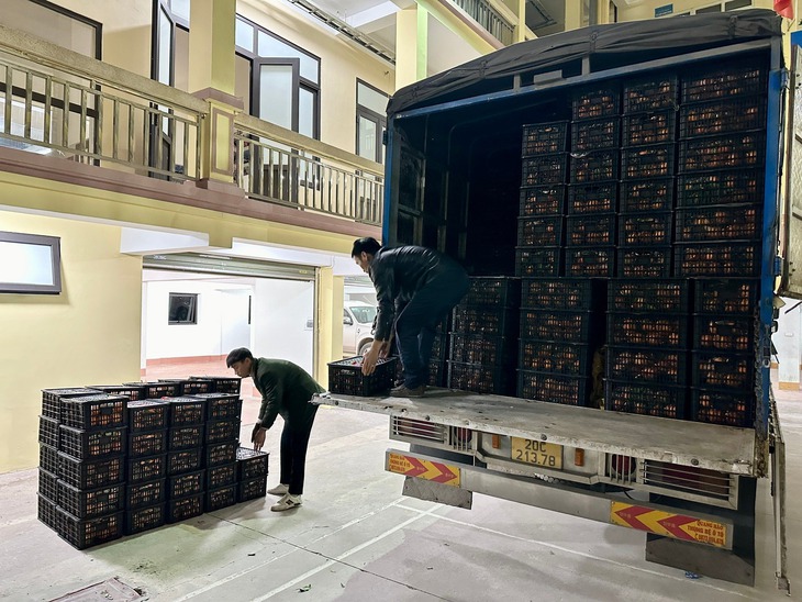 Lợi dụng đêm tối vận chuyển 6 tấn hoa quả nhập lậu- Ảnh 2.