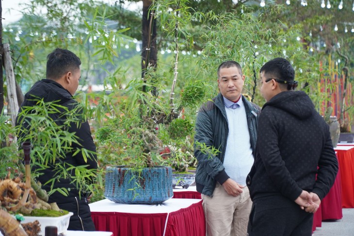 Lần đầu tiên Triển lãm Bonsai tre, Lễ hội hoa đào, quất cảnh được tổ chức tại Hà Nội- Ảnh 14. Lần đầu tiên Triển lãm Bonsai tre, Lễ hội hoa đào, quất cảnh được tổ chức tại Hà Nội- Ảnh 14.