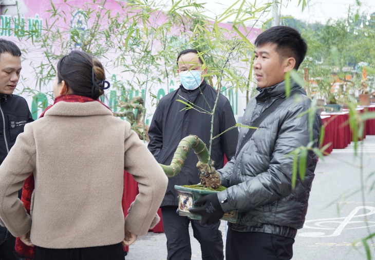 Lần đầu tiên Triển lãm Bonsai tre, Lễ hội hoa đào, quất cảnh được tổ chức tại Hà Nội- Ảnh 7. Lần đầu tiên Triển lãm Bonsai tre, Lễ hội hoa đào, quất cảnh được tổ chức tại Hà Nội- Ảnh 7.