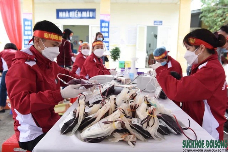 Nghệ An: Người đi hiến máu sẽ nhận được gói xét nghiệm miễn phí- Ảnh 6.