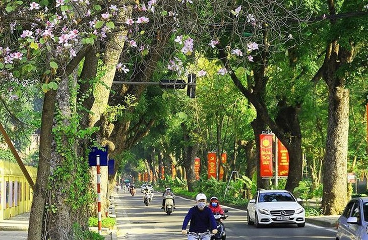 Tuần này nhiệt độ miền Bắc có thể tăng đến 28 độ, trời nắng ráo- Ảnh 2. Tuần này nhiệt độ miền Bắc có thể tăng đến 28 độ, trời nắng ráo- Ảnh 2.