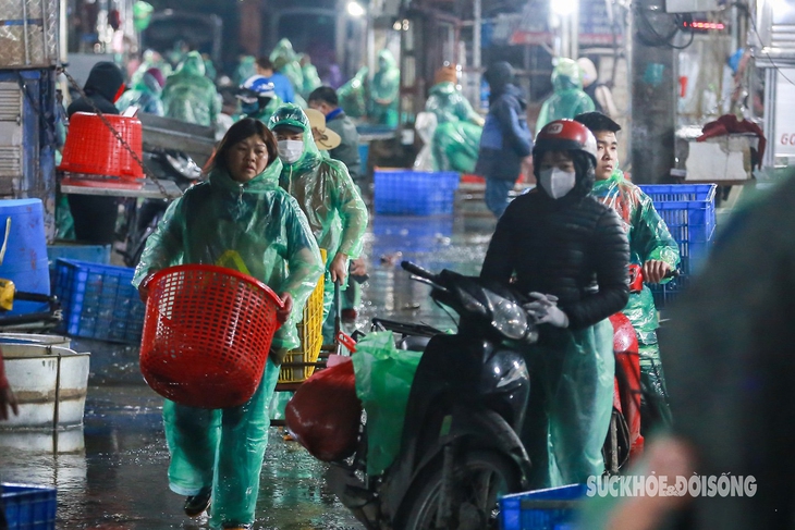 Người lao động tay trần chặt đá, bắt cá mưu sinh trong cái rét tê tái- Ảnh 1. Người lao động tay trần chặt đá, bắt cá mưu sinh trong cái rét tê tái- Ảnh 1.