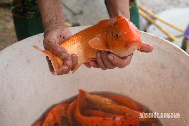 Người dân Thủy Trầm bì bõm vớt ‘siêu xe’ phục vụ Tết ông Công, ông Táo- Ảnh 1.