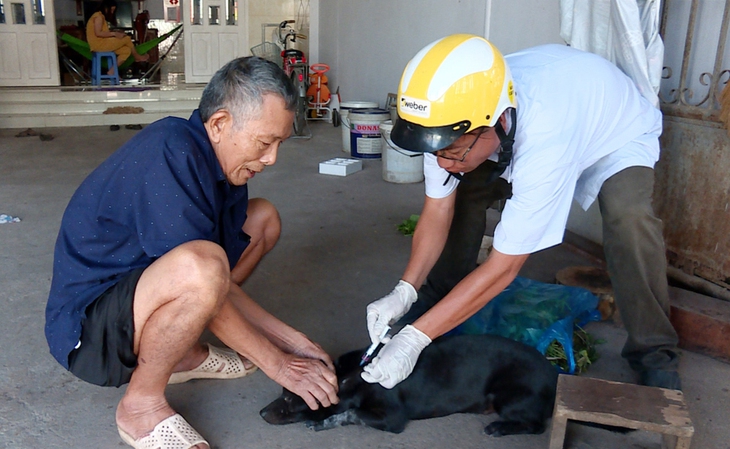 Phát hiện ổ dại thứ 5 trên chó tại một huyện ở Đồng Nai- Ảnh 1. Phát hiện ổ dại thứ 5 trên chó tại một huyện ở Đồng Nai- Ảnh 1.