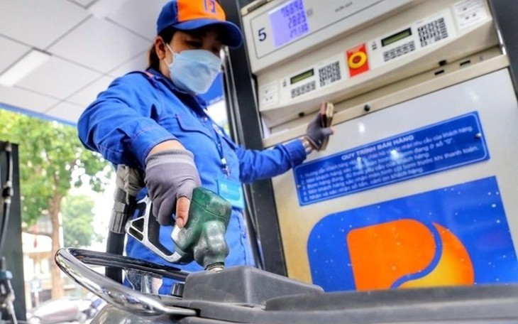 Thanh tra Chính phủ kiến nghị chuyển Bộ Công an nhiều vụ việc về xăng dầu