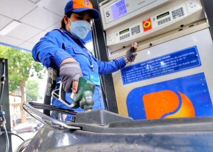 Thanh tra Chính phủ kiến nghị chuyển Bộ Công an nhiều vụ việc về xăng dầu- Ảnh 1. Thanh tra Chính phủ kiến nghị chuyển Bộ Công an nhiều vụ việc về xăng dầu- Ảnh 1.