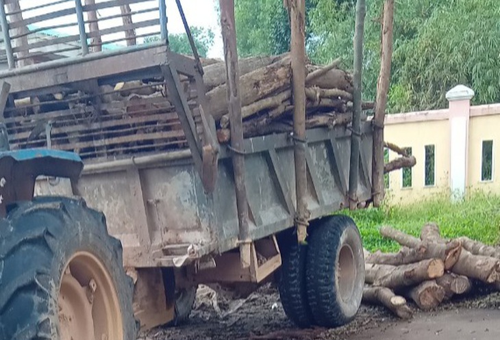 Ngang nhiên chặt hạ gỗ rừng phòng hộ mang đi bán- Ảnh 2.