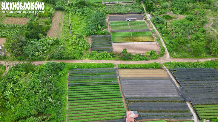 Loạt cây cầu qua sông Hồng kỳ vọng kết nối liên kết vùng Hà Nội- Ảnh 2.