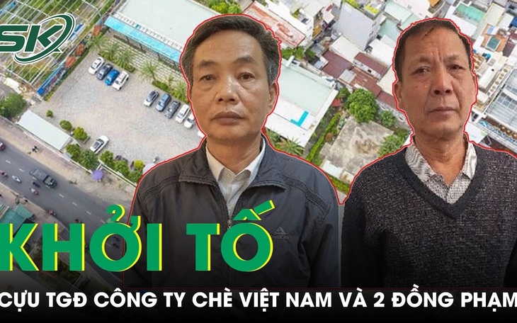 Cựu Tổng giám đốc Công ty Chè Việt Nam và 2 đồng phạm bị khởi tố, bắt tạm giam