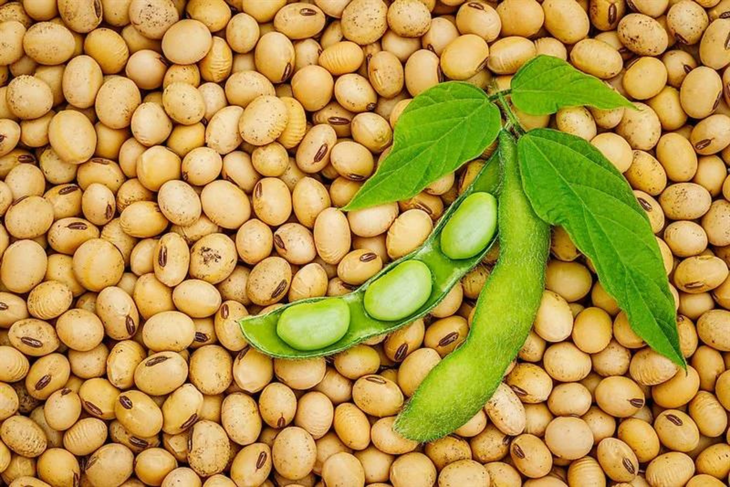 U phổi ác tính và những điều cần biết- Ảnh 2.