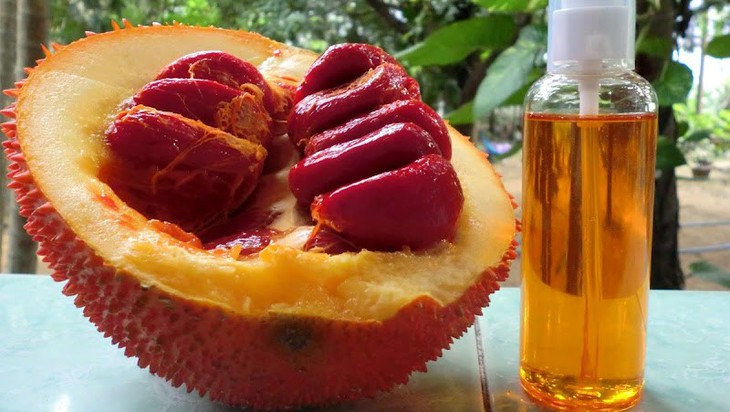 Chế độ ăn uống đảm bảo đủ những thành phần sau giúp tăng cường thị lực, hỗ trợ giảm nhiều bệnh về mắt- Ảnh 2. Chế độ ăn uống đảm bảo đủ những thành phần sau giúp tăng cường thị lực, hỗ trợ giảm nhiều bệnh về mắt- Ảnh 2.