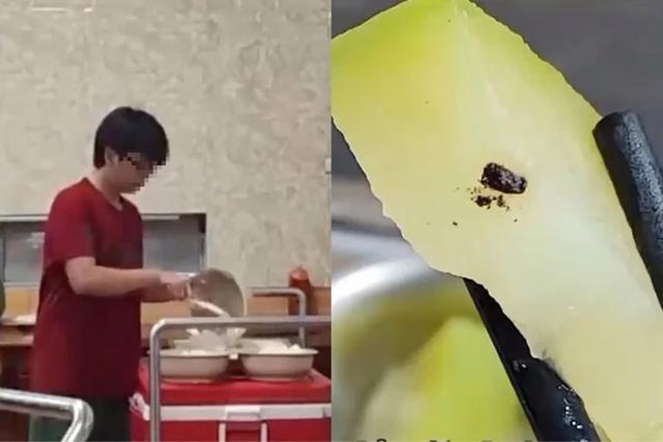 Bộ GD&ĐT: Xử lý nghiêm tập thể và cá nhân liên quan đến bữa ăn tại Đại học Bách khoa Hà Nội- Ảnh 1. Bộ GD&ĐT: Xử lý nghiêm tập thể và cá nhân liên quan đến bữa ăn tại Đại học Bách khoa Hà Nội- Ảnh 1.