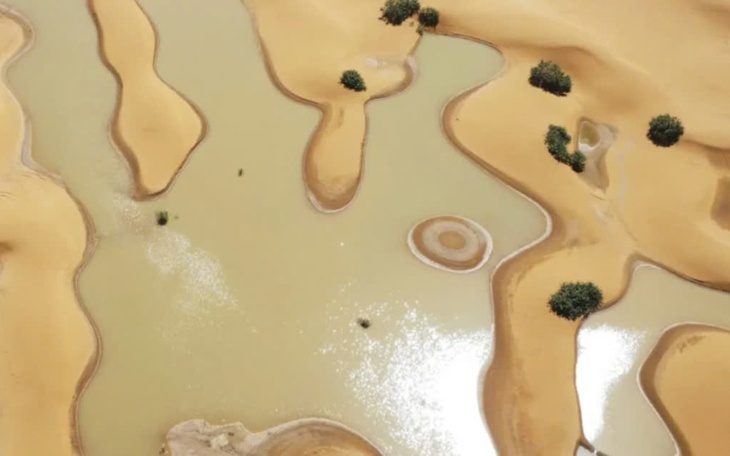 Sa mạc Sahara hóa "hồ nước xanh" sau nhiều thập kỷ