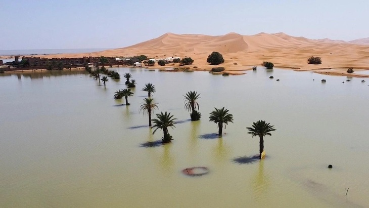 Ngập lụt bất thường tại sa mạc Sahara lần đầu tiên trong 5 thập kỷ- Ảnh 1. Ngập lụt bất thường tại sa mạc Sahara lần đầu tiên trong 5 thập kỷ- Ảnh 1.