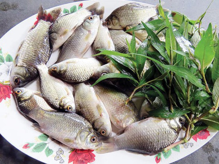 Cá diếc giúp nam giới “hoành tráng” hơn- Ảnh 1.