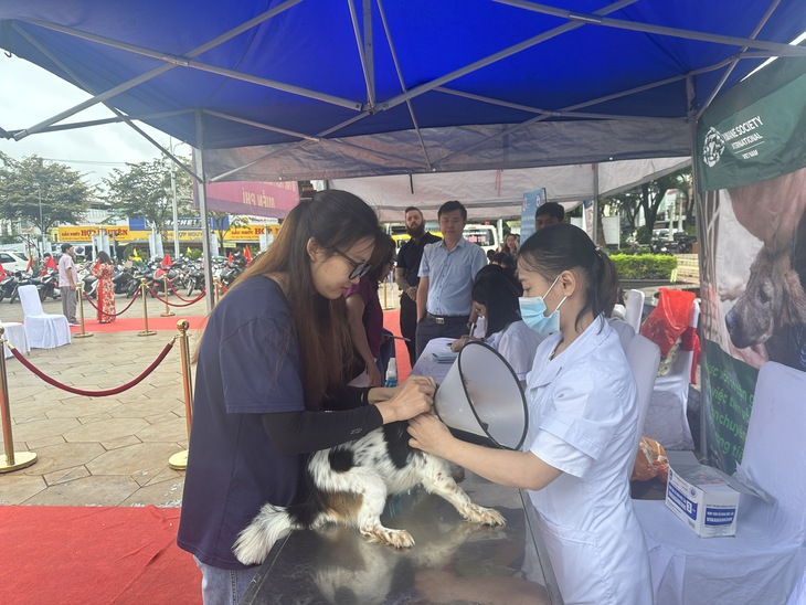 Không chủ quan khi bị chó, mèo cắn- Ảnh 1.