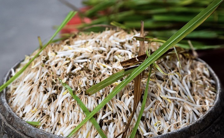 Những ai không nên ăn giá đỗ?- Ảnh 1.