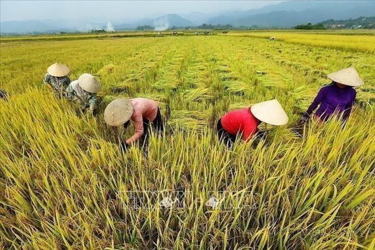 Phụ nữ Việt Nam chủ động, sáng tạo, tự tin tỏa sáng trong thời đại mới- Ảnh 12.