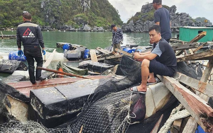 Thủ tướng: Khẩn trương thực hiện các chính sách hỗ trợ nông dân phục hồi sản xuất sau bão số 3