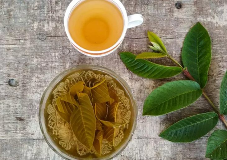 Uống nước lá ổi bao lâu thì giảm cân?- Ảnh 2.