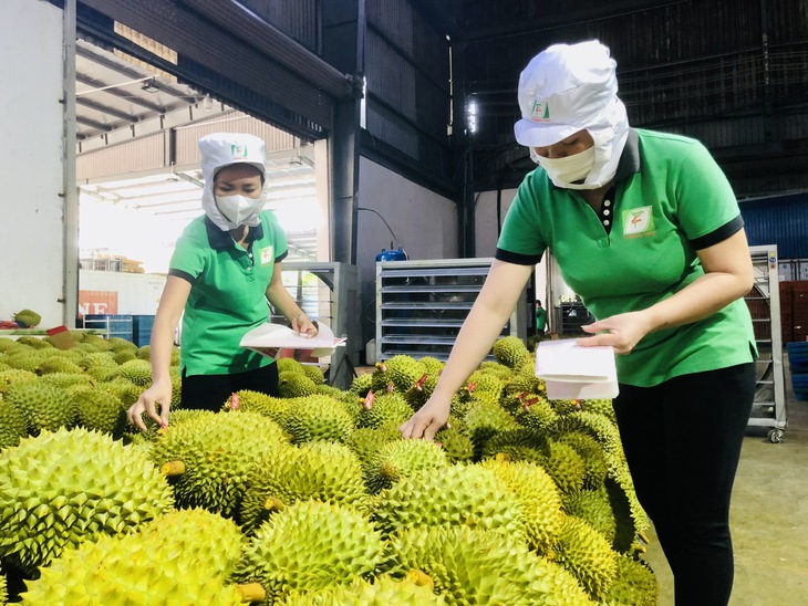 Kim ngạch xuất nhập khẩu 2024 sẽ có nhiều kỷ lục- Ảnh 1.