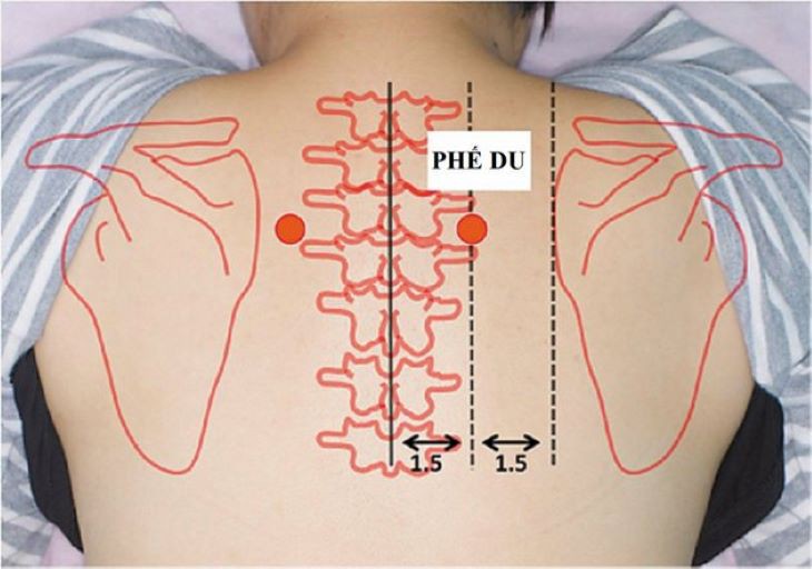 Giảm đau cổ vai gáy bằng các phương pháp đơn giản tại nhà - Ảnh 4.
Giảm đau cổ vai gáy bằng các phương pháp đơn giản tại nhà - Ảnh 4.
