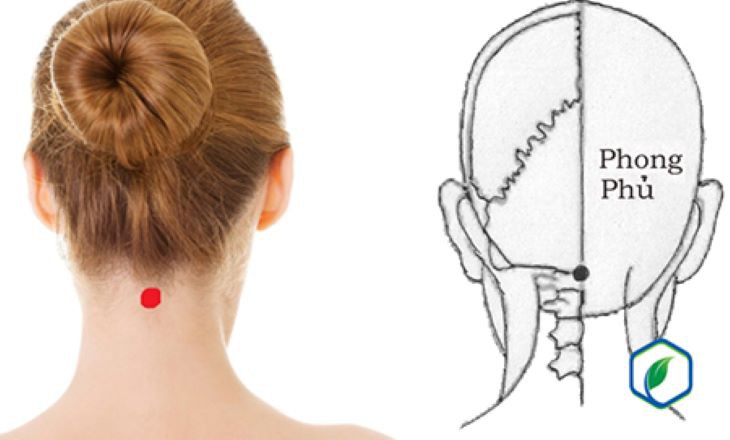 Giảm đau cổ vai gáy bằng các phương pháp đơn giản tại nhà - Ảnh 3.
Giảm đau cổ vai gáy bằng các phương pháp đơn giản tại nhà - Ảnh 3.