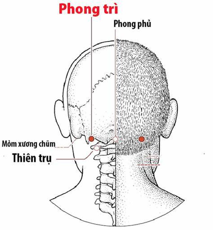 Giảm đau cổ vai gáy bằng các phương pháp đơn giản tại nhà - Ảnh 5.
Giảm đau cổ vai gáy bằng các phương pháp đơn giản tại nhà - Ảnh 5.