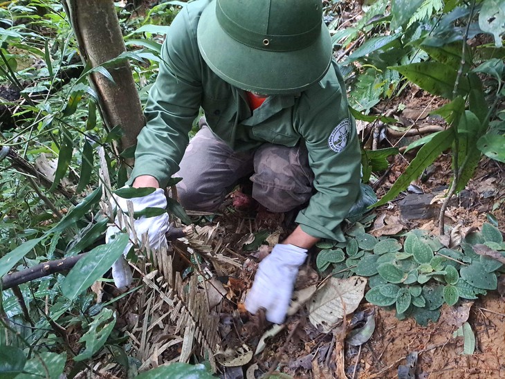 Di chuyển gần 50 km đường rừng để 'phá bẫy' cứu động vật hoang dã- Ảnh 4. Di chuyển gần 50 km đường rừng để 'phá bẫy' cứu động vật hoang dã- Ảnh 4.