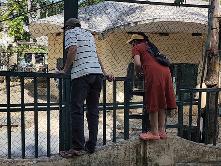 Vườn thú Hà Nội bất ngờ đón thêm thành viên hà mã baby- Ảnh 3. Vườn thú Hà Nội bất ngờ đón thêm thành viên hà mã baby- Ảnh 3.