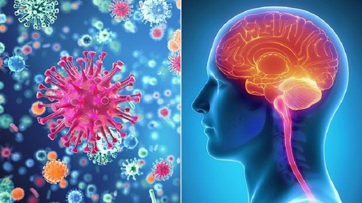 Viêm màng não do não mô cầu xảy ra đột ngột gây tử vong nhanh, làm sao để phòng tránh?- Ảnh 1.
