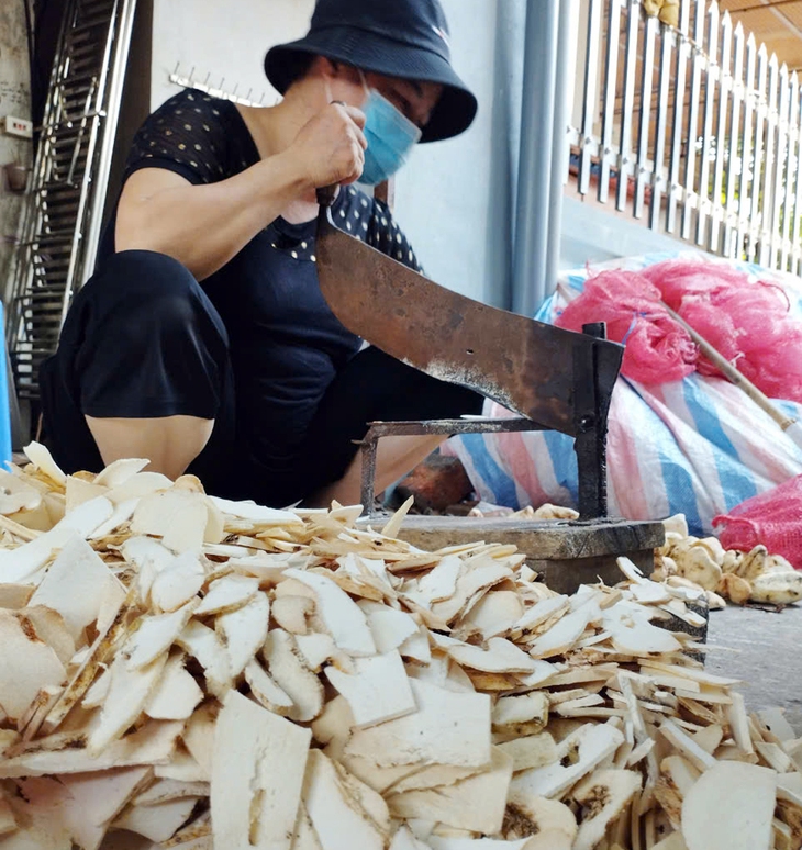 11 nhiệm vụ để phát triển nền Y học cổ truyền và Hội đông y Việt Nam giai đoạn mới- Ảnh 1. 11 nhiệm vụ để phát triển nền Y học cổ truyền và Hội đông y Việt Nam giai đoạn mới- Ảnh 1.