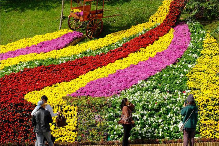 Festival Hoa Đà Lạt sẽ diễn ra trong 1 tháng, hướng tới quy mô quốc gia và quốc tế- Ảnh 1. Festival Hoa Đà Lạt sẽ diễn ra trong 1 tháng, hướng tới quy mô quốc gia và quốc tế- Ảnh 1.