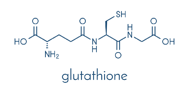 Công dụng của Glutathione tới sức khỏe- Ảnh 2.