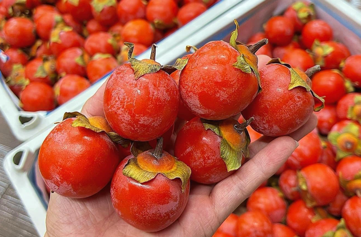Dân buôn tiết lộ sự thật về loại hồng thạch đang ‘nhuộm đỏ’ chợ Việt- Ảnh 1. Dân buôn tiết lộ sự thật về loại hồng thạch đang ‘nhuộm đỏ’ chợ Việt- Ảnh 1.