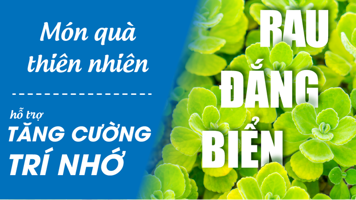 Giải pháp thảo dược hỗ trợ tăng cường trí nhớ, phòng ngừa đột quỵ- Ảnh 2. Giải pháp thảo dược hỗ trợ tăng cường trí nhớ, phòng ngừa đột quỵ- Ảnh 2.
