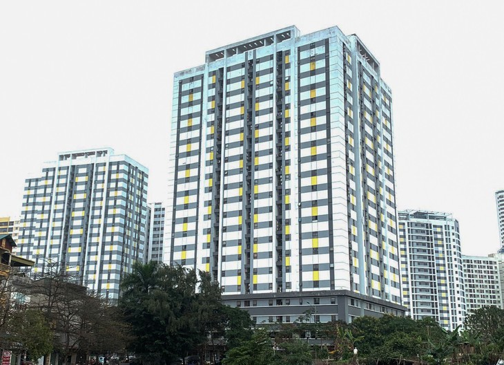 Thuế là công cụ đưa bất động sản về giá trị thực nhưng giá nhà vẫn khó giảm- Ảnh 2.