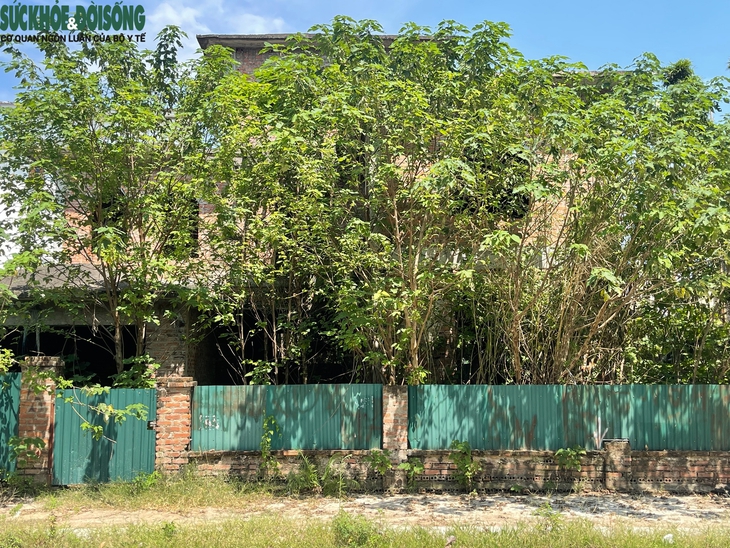 Cảnh hoang lạnh tại khu biệt thự triệu đô ở KĐT Nam An Khánh, Hà Nội- Ảnh 4.