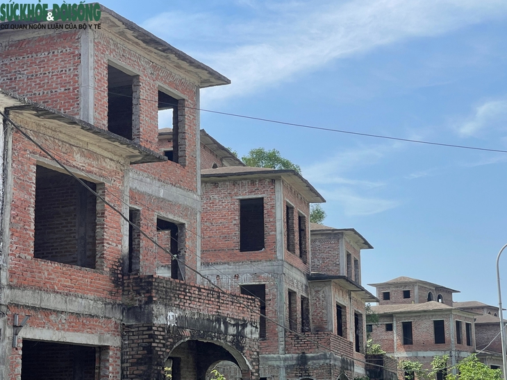 Cảnh hoang lạnh tại khu biệt thự triệu đô ở KĐT Nam An Khánh, Hà Nội- Ảnh 5.