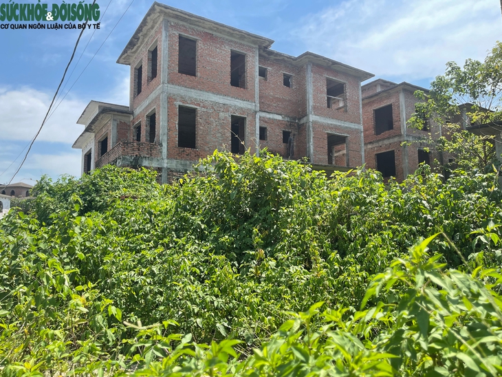 Cảnh hoang lạnh tại khu biệt thự triệu đô ở KĐT Nam An Khánh, Hà Nội- Ảnh 6.