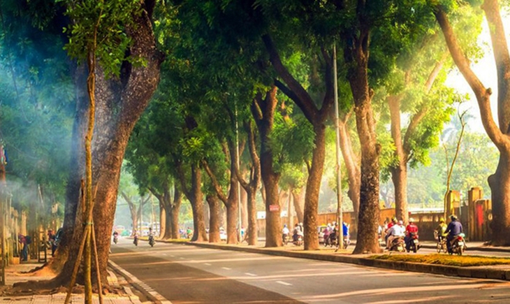 Miền Bắc nắng ráo, đêm và sáng se lạnh- Ảnh 2.