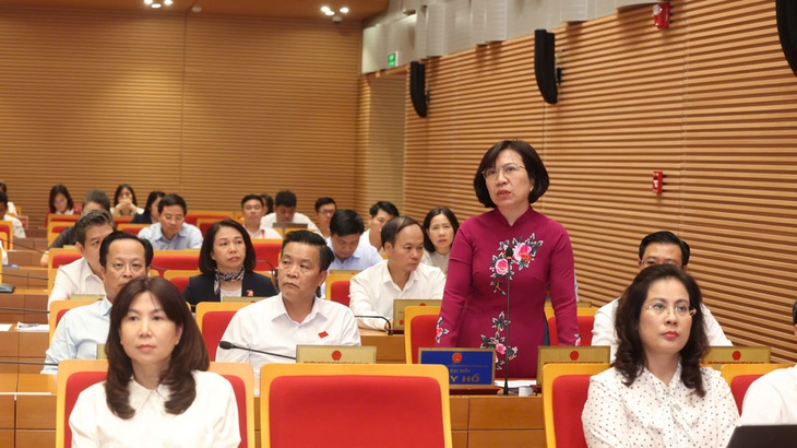 Hà Nội đề xuất chính sách đặc thù để hỗ trợ nông dân mất đào, quất do bão số 3- Ảnh 1.