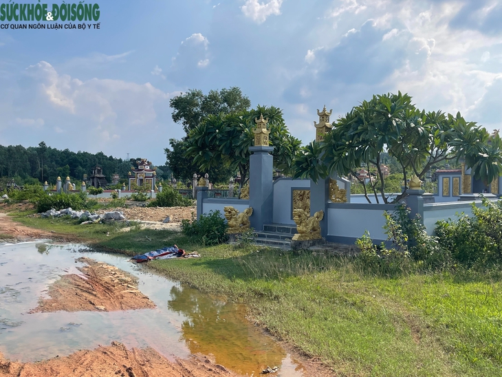 Tái diễn tình trạng xác lợn bị vứt la liệt, bốc mùi hôi thối ở nghĩa trang- Ảnh 1. Tái diễn tình trạng xác lợn bị vứt la liệt, bốc mùi hôi thối ở nghĩa trang- Ảnh 1.