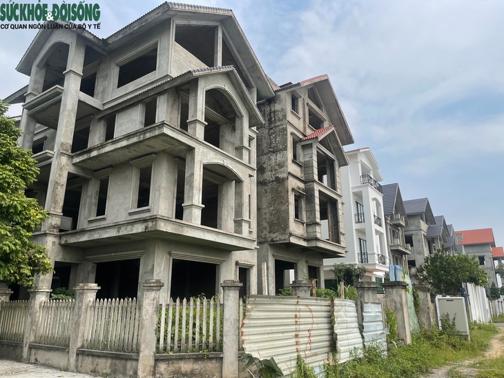 Cảnh hoang tàn, xuống cấp của khu biệt thự triệu đô ở Hà Nội- Ảnh 2.