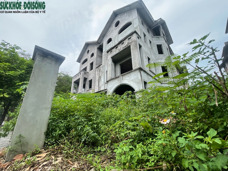 Cảnh hoang tàn, xuống cấp của khu biệt thự triệu đô ở Hà Nội- Ảnh 6.